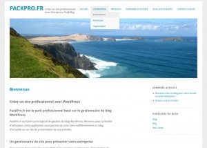 PackPro : créez un site professionnel